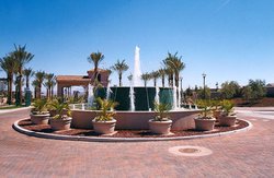Commercial Pool #006 by Allure Pools and Outdoor